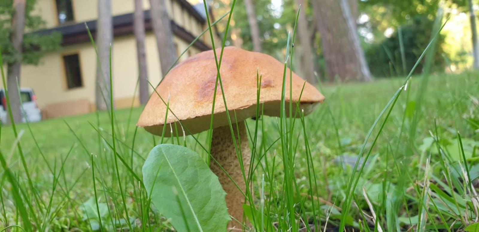 Villa Toskana Pogorzelica  Exteriér fotografie