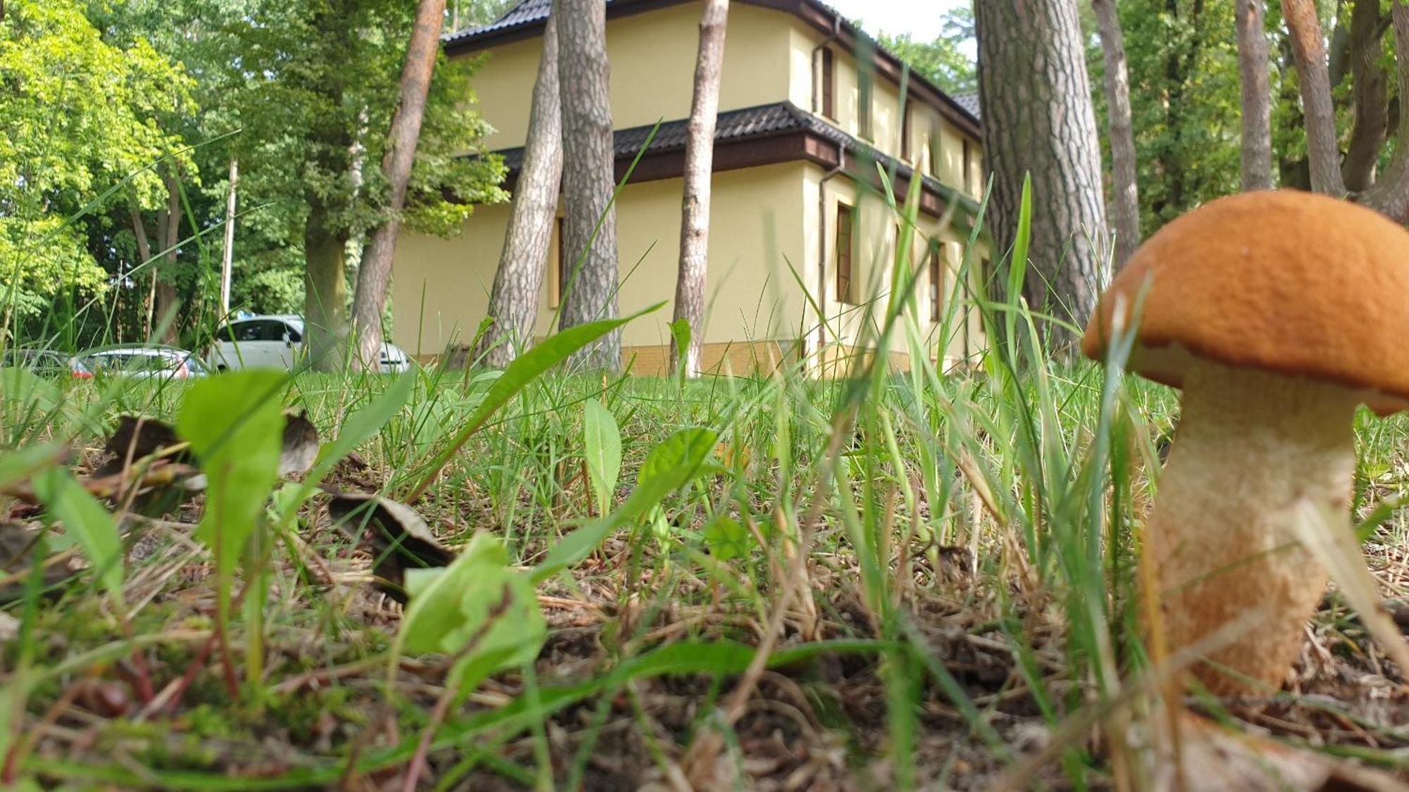 Villa Toskana Pogorzelica  Exteriér fotografie
